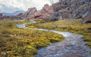 La métaphore de la rivière