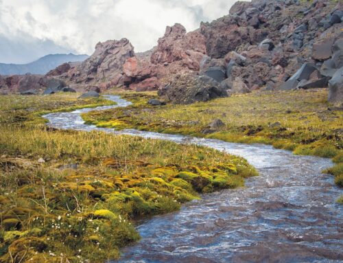 KAWA, le modèle japonais centré sur la rivière, qui symbolise la personne et sa vie